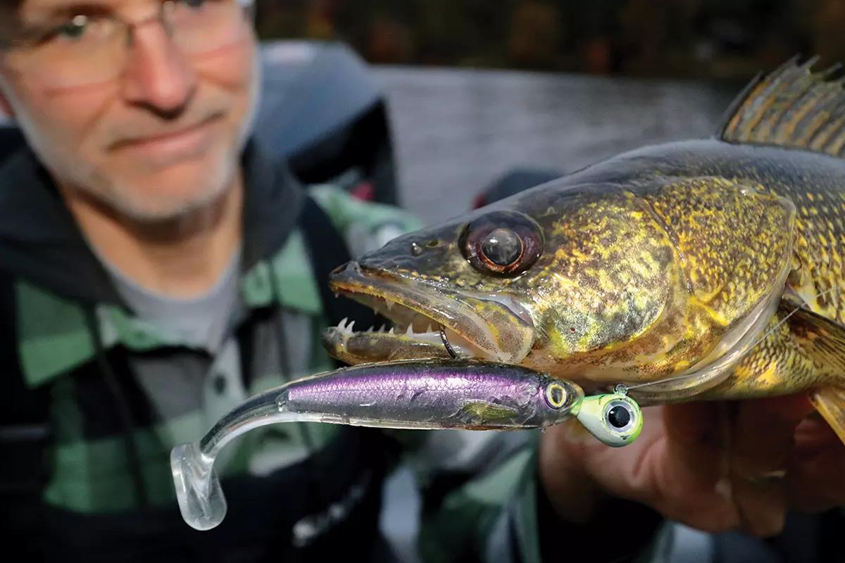 Minnesota 'Eye Candy Funny Walleye Fishing Magnet
