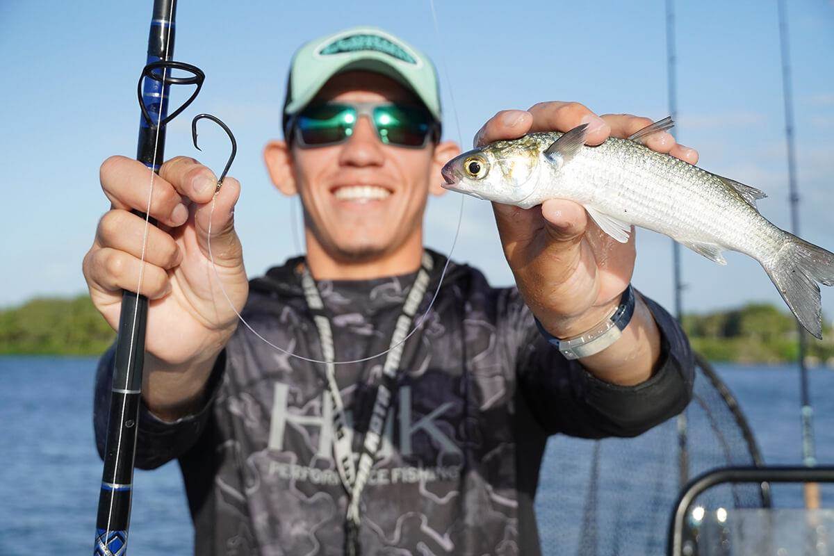 How to Rig a Berkley Gulp Jerk Shad for Catching Snook, Redfish, and Trout  