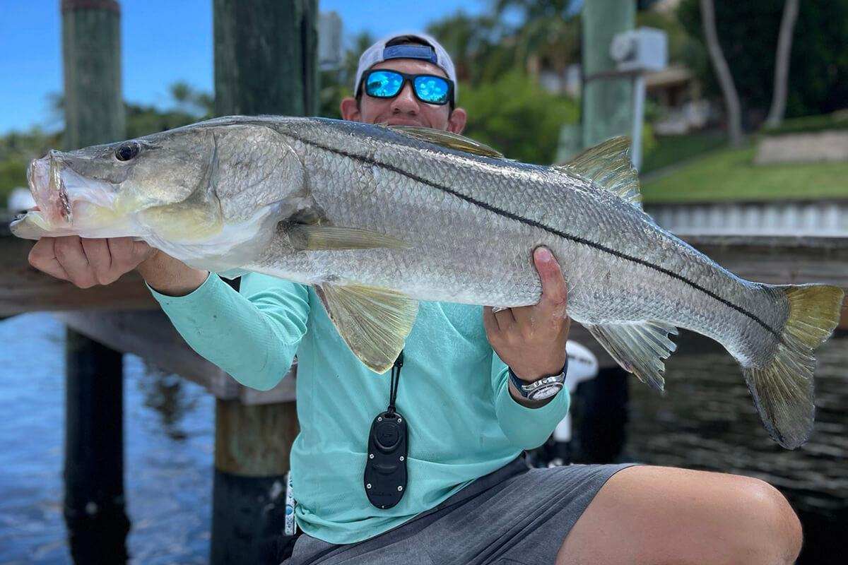 angler holding an upper slot sized snook in front of saltwater fishing dock