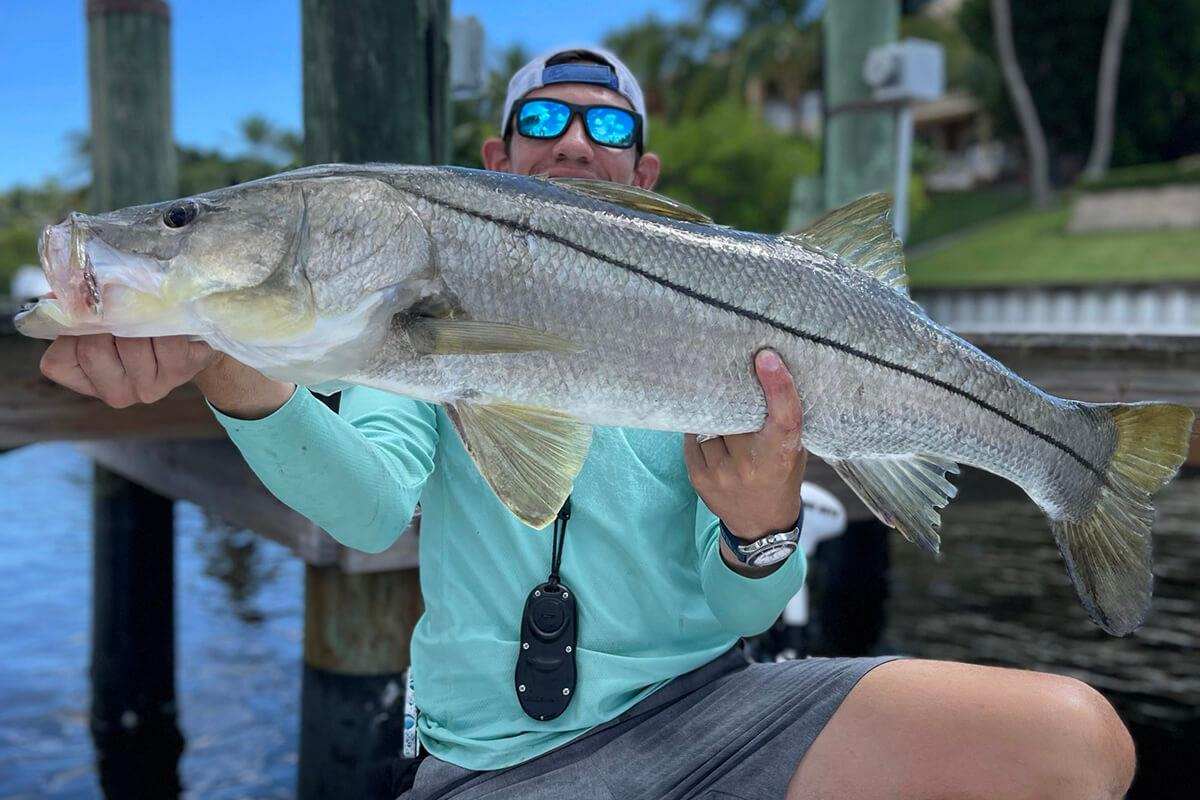 Everything You Need To Know For Better Saltwater Dock Fishin