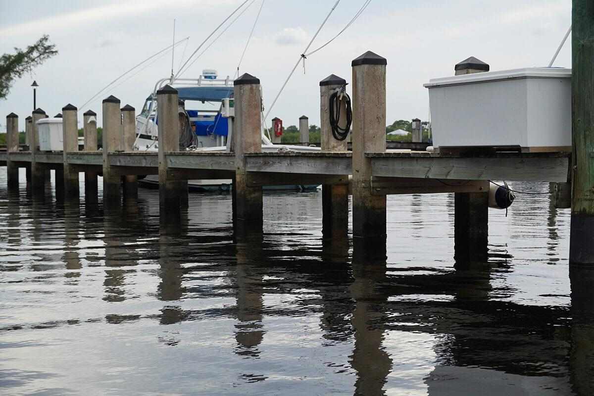 Everything You Need To Know For Better Saltwater Dock Fishin