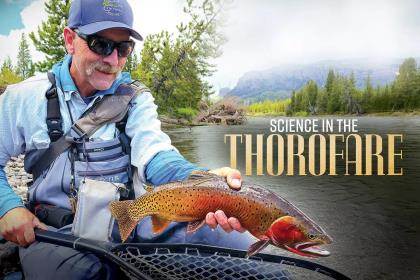 Fly Fishing Rocky Mountain National Park - Fly Fisherman