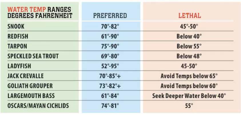 screenshot-2026-01-20-at-110029-am