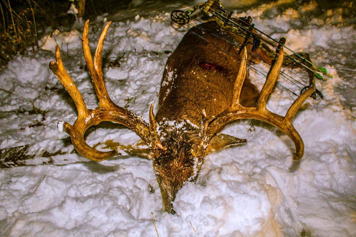 Ohio Man Successful On Huge 190-inch Typical In Snow - North American  Whitetail