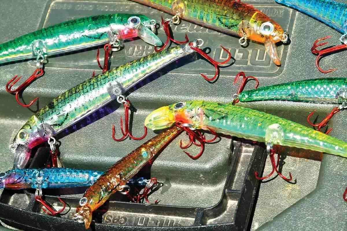 Rainbow Trout Freshwater Fishing Baits, Lures & Flies for sale