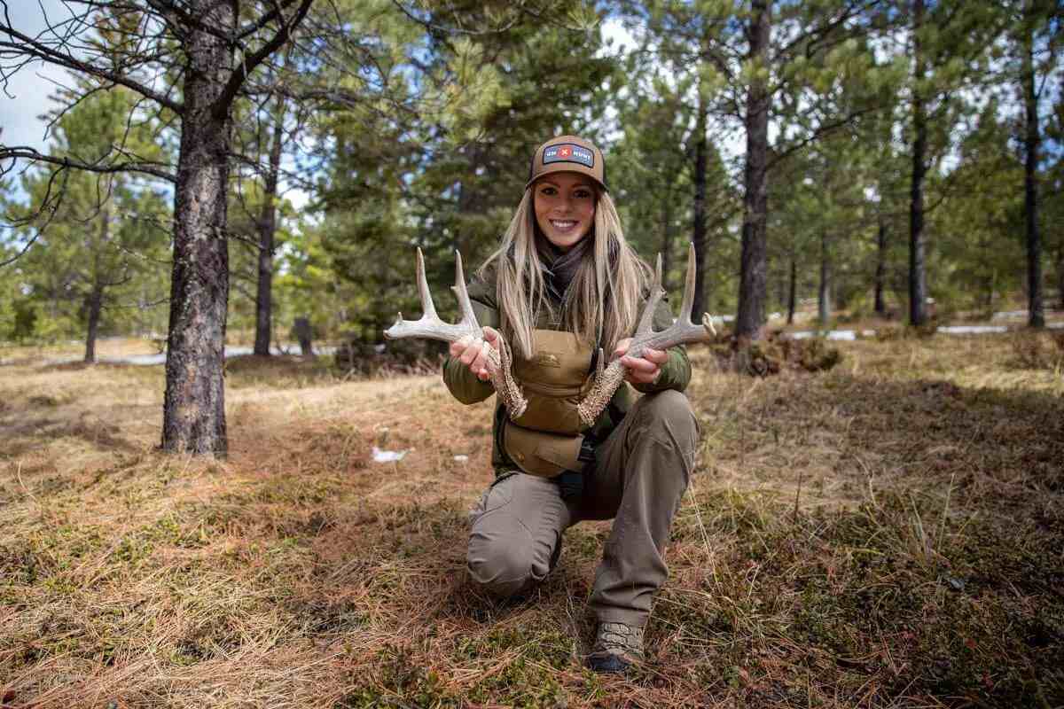 Shed Antlers: How and Where to Find More