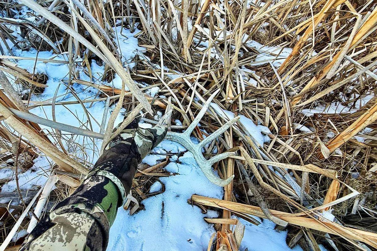 Shed Hunting Rough Terrain Can Reward Your Efforts - Petersen's Hunting