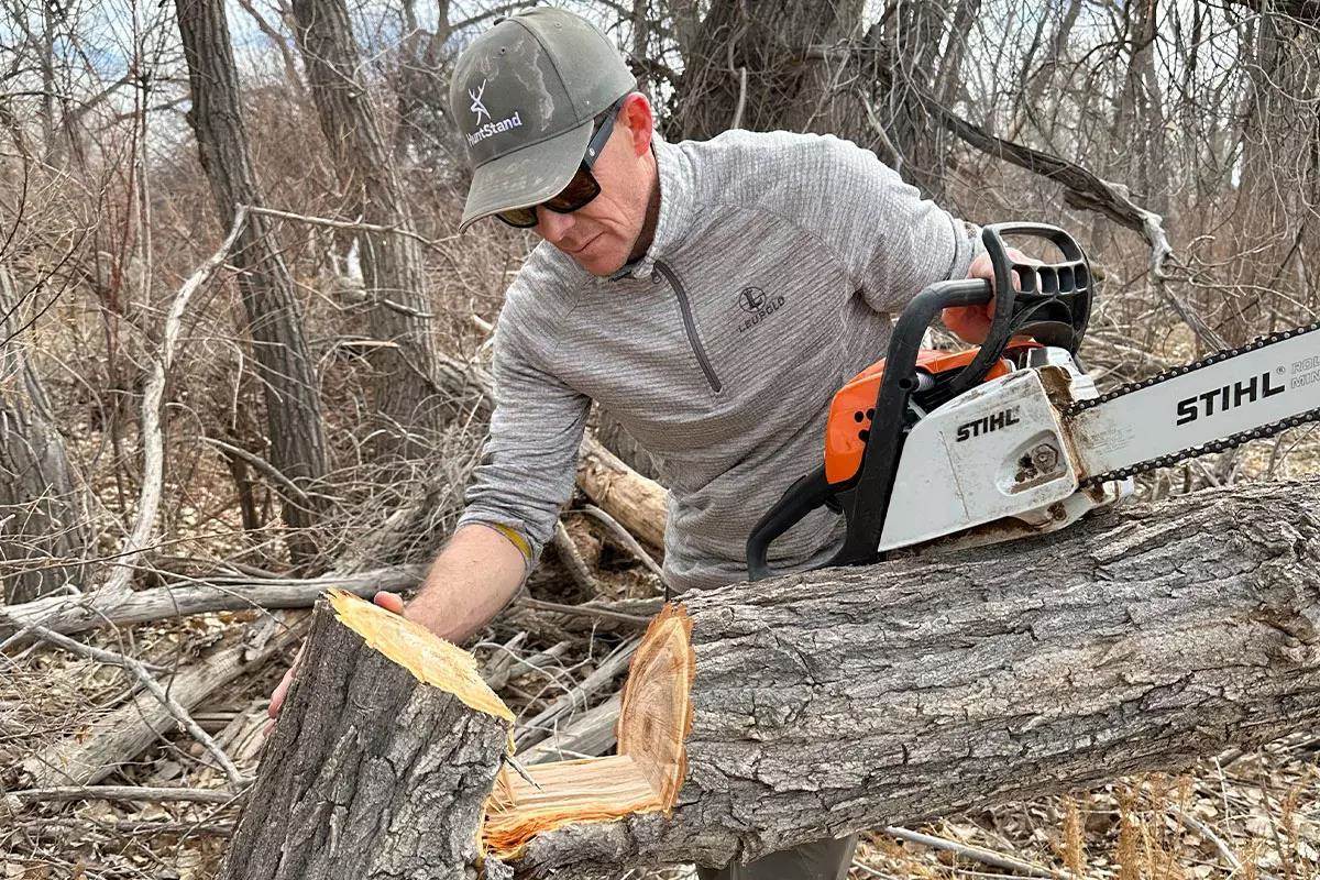 Author hinge cutting trees