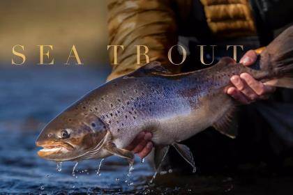 Classic Video: Ted Williams and the Atlantic Salmon - Orvis News