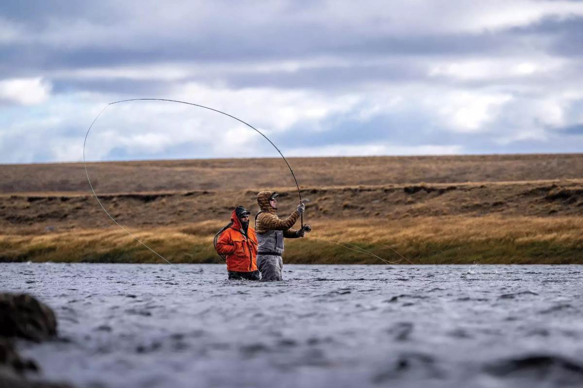 Sheep Dung and Sea Trout: Befriending the Wind in Patagonia - Fly