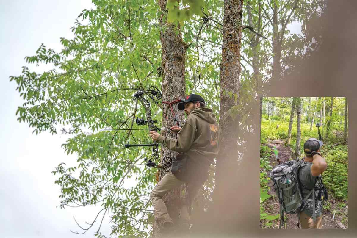 Shooting Now with Fall Archery Seasons in Mind