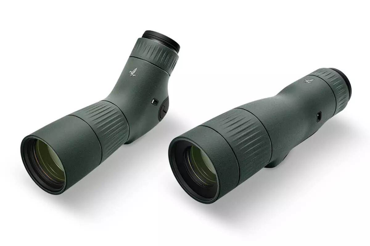 swarovski balance at