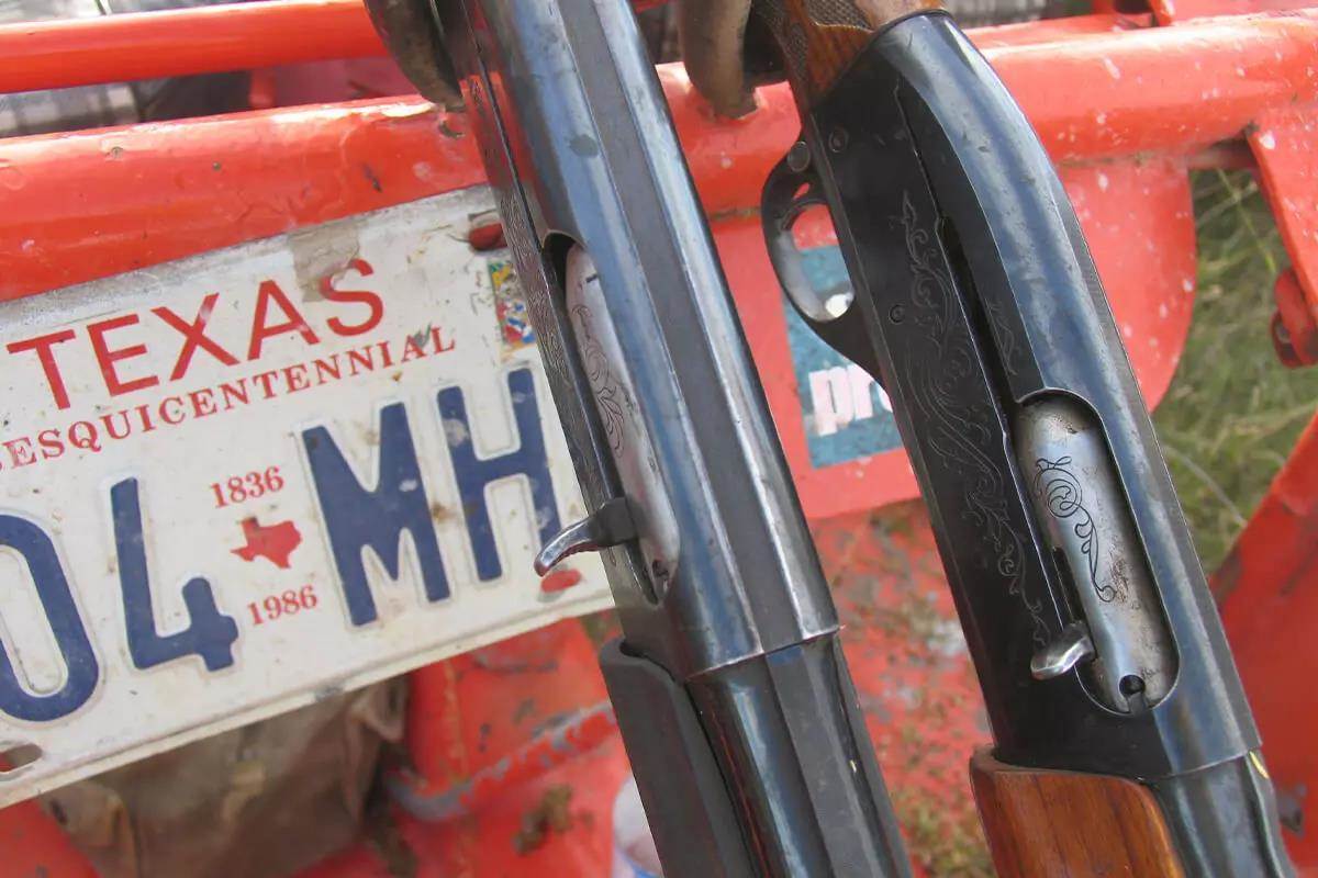 Shotguns For Predator Hunting? Astonishing Results - Petersen's Hunting