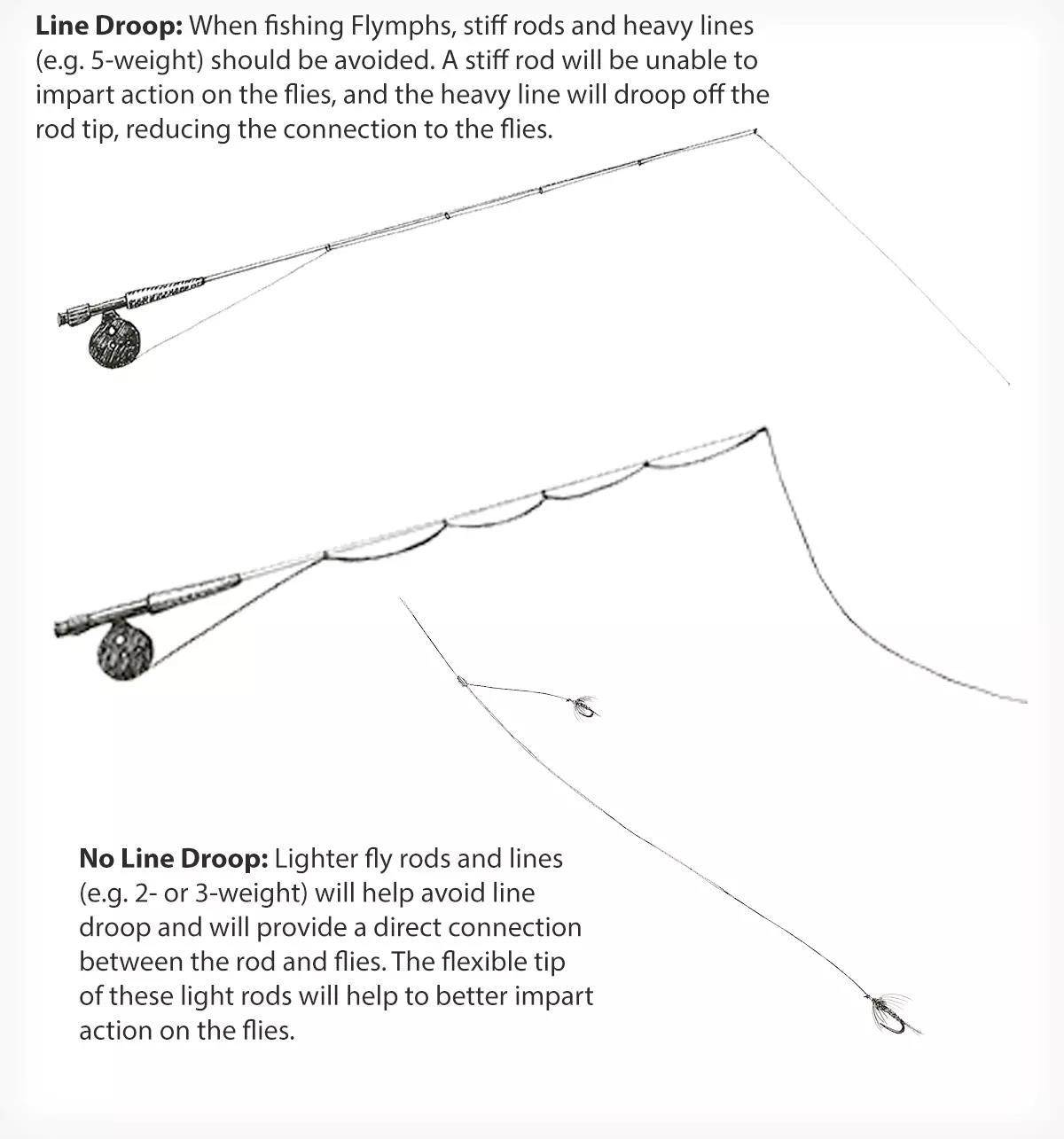 A pencil illustration of two fly rods demonstrating a tight line versus a loose line.