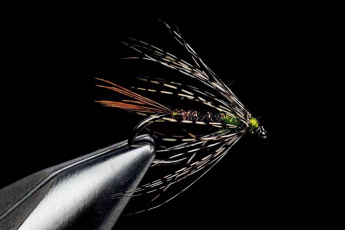 A Pheasant Tail soft-hackle Flymph in a vise. 
