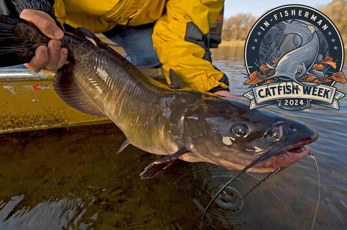 Catfish Week: Simple Summer Channel Cats
