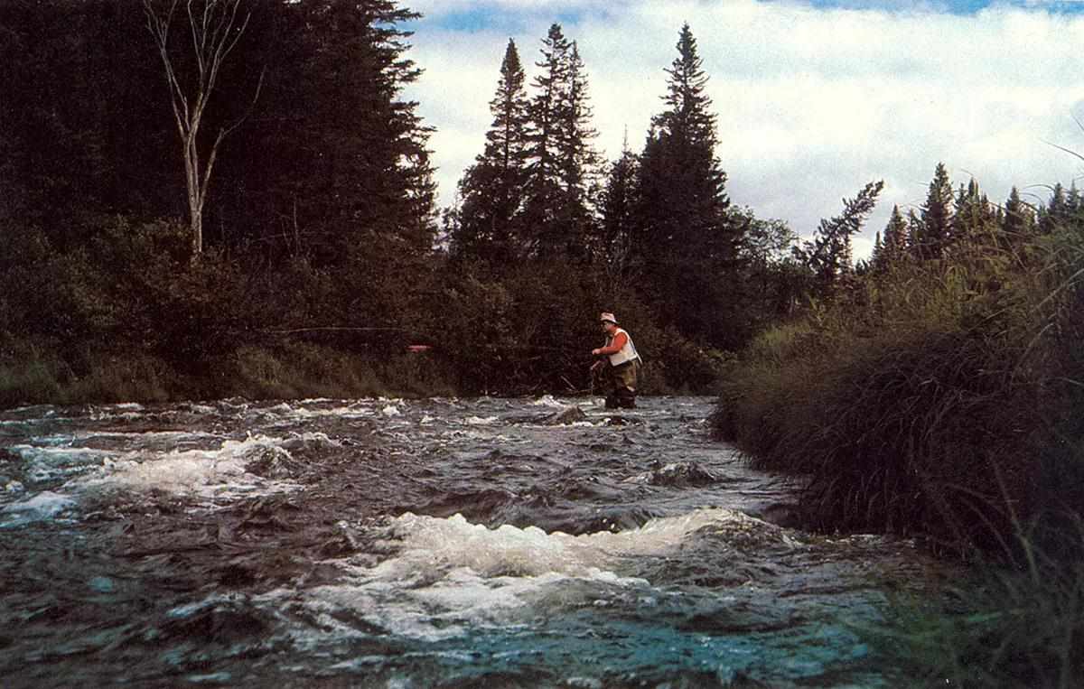 Fly Fisherman Throwback: Sinking-Line Tactics for Streams - Fly Fisherman