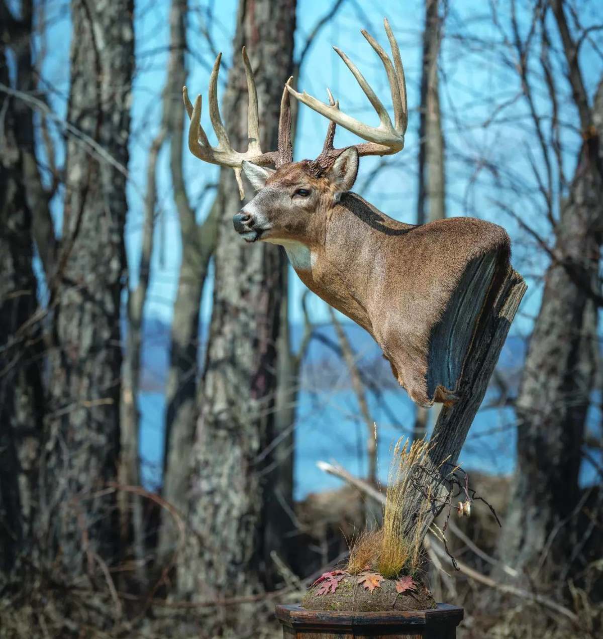 DIY: Venison Storage Tips - North American Whitetail