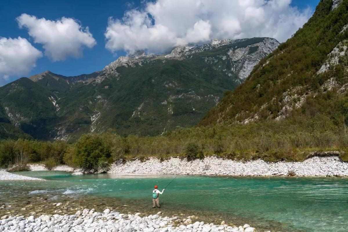 Fly Fisherman on Bellyboat Fighting with Big Trout, Slovenia Stock Photo -  Image of lake, forest: 108002030