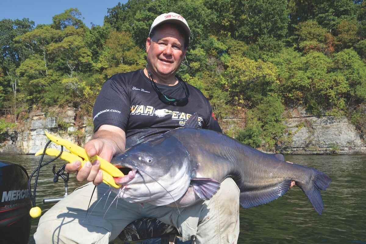 Catch Colossal Catfish at Alabama's Wilson Lake