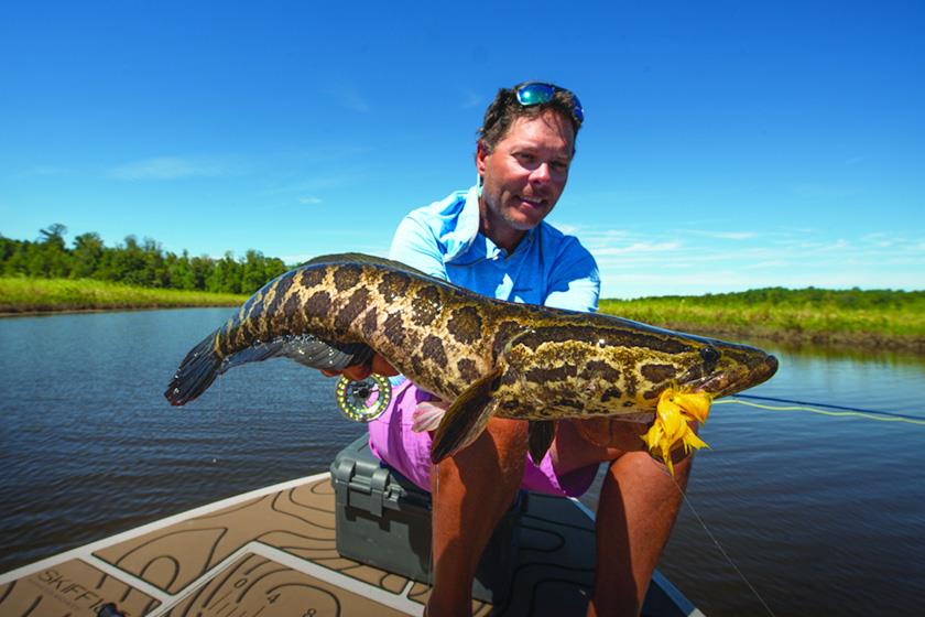 Snakebit: How to Fly Fish for Snakeheads