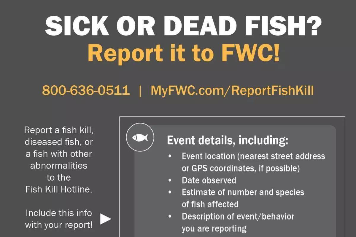 FWC Fish Kill