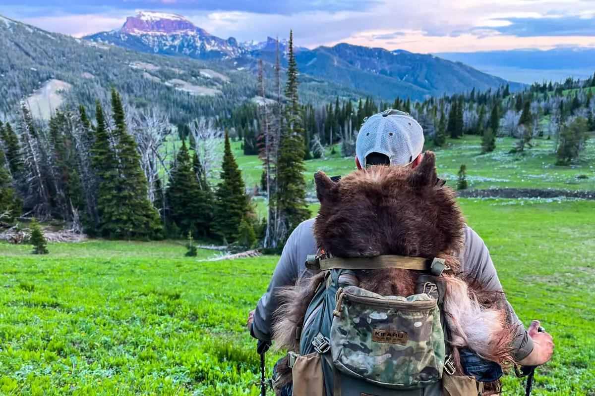 Spring Bears: A Great Introduction to the American West - Bowhunter