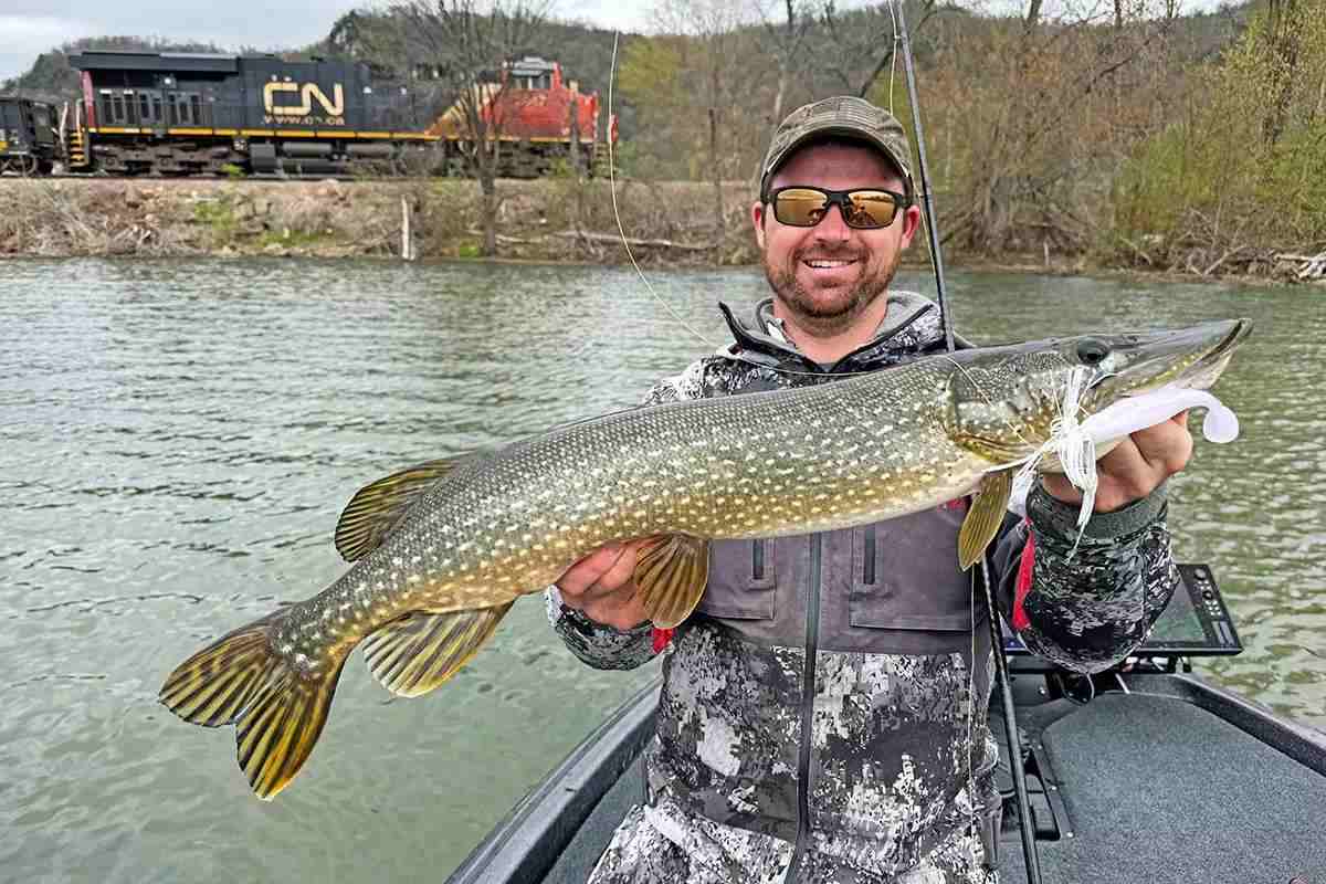 How To Catch Pike In Spring
