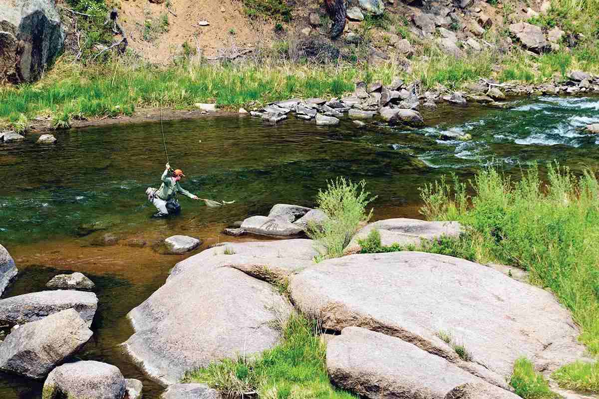 A fly angler reaching his net out to land a fish on a river in a canyon. 