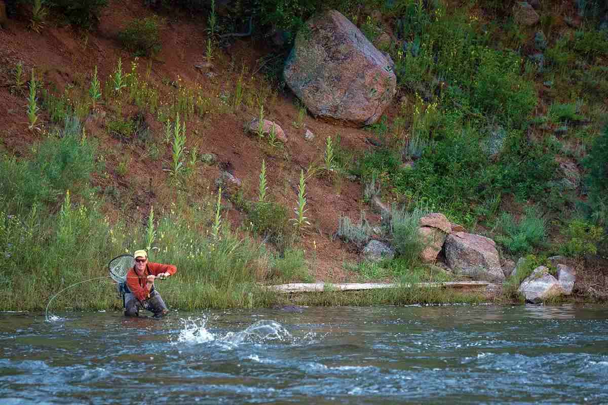 A fly angler fighting a fish in a river canyon.