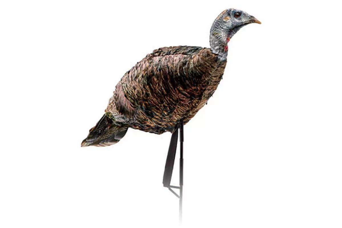 Spring Thunder: 15 Must-Have Turkey Products - Bowhunter