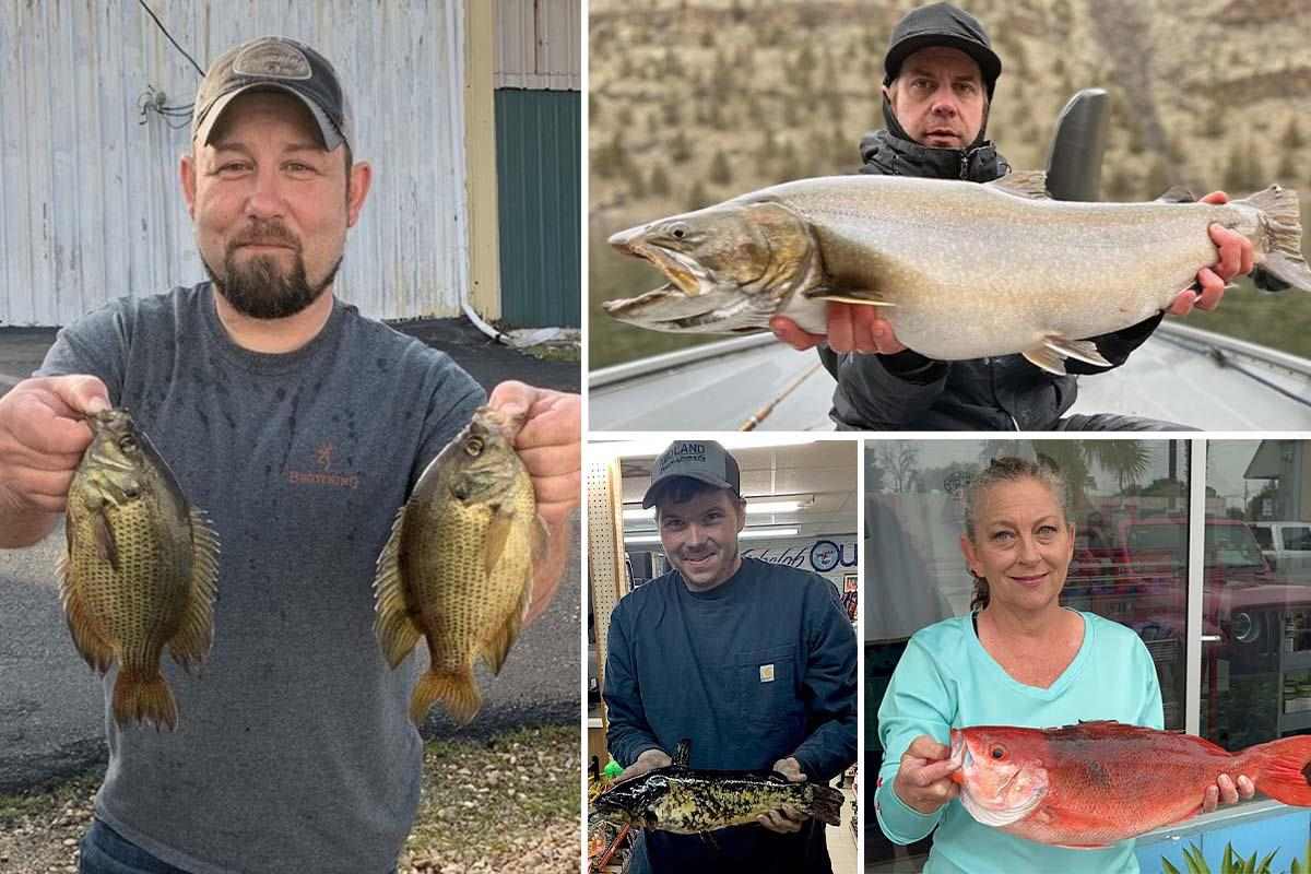 Angler Catches 2 Records; Bow Angler Challenges World Mark