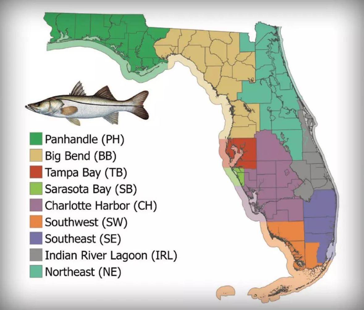 What You Need to Know About Florida's Fishing Regulations