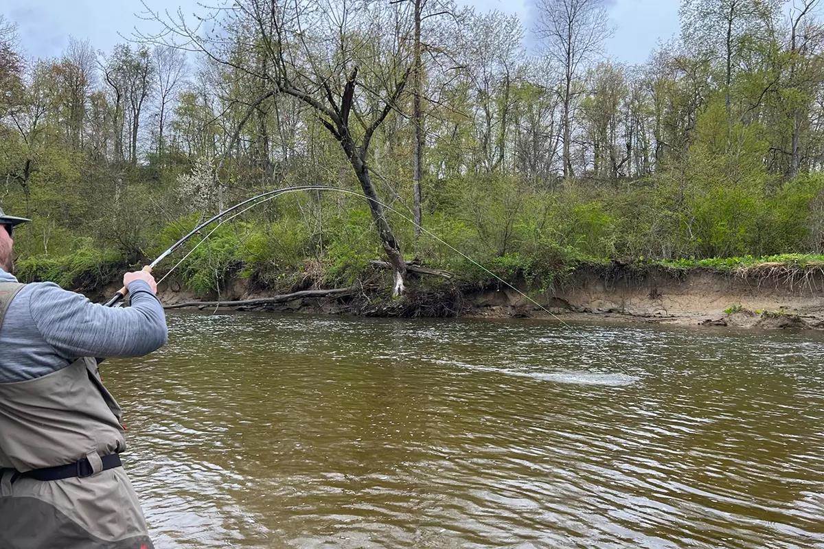 Two Lake Erie tributaries draw tens of thousands for springtime fishing
