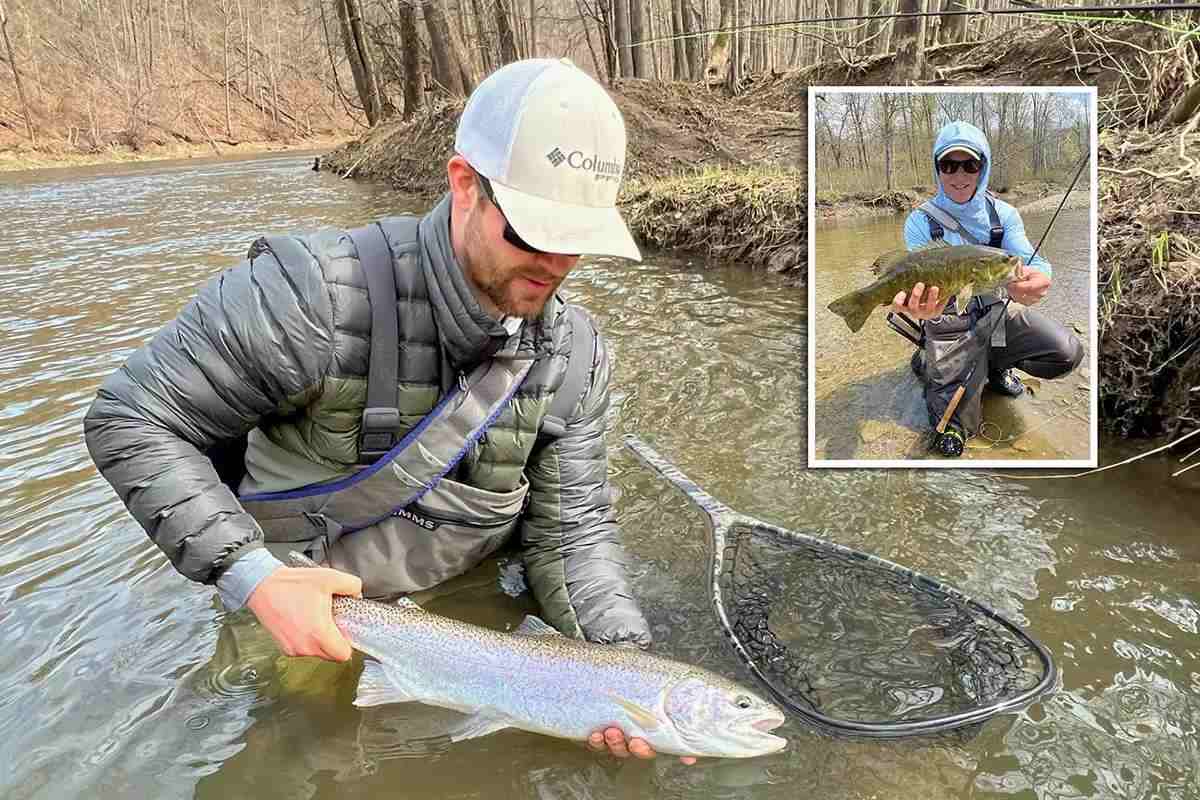 Silver and Bronze: Two Beloved Species Coexist in Phenomenal - Fly Fisherman