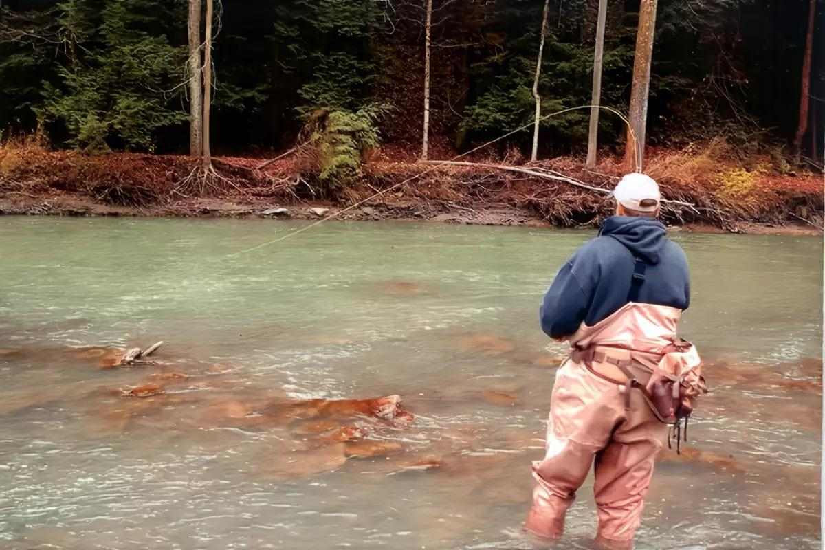 Steelhead Game Planning: A Strategic Plan is Critical for Fi - Fly Fisherman