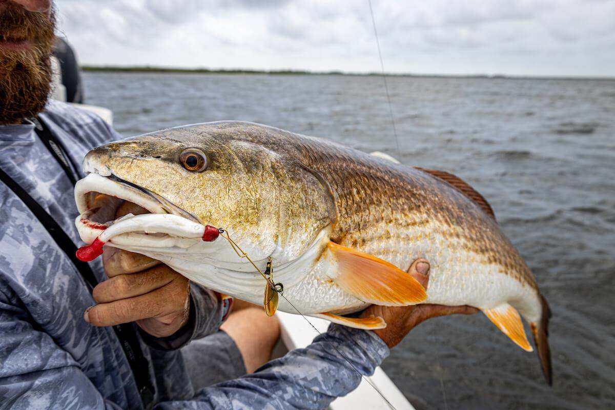 Strike King Redfish Magic Saltwater Spinnerbaits - Angler's
