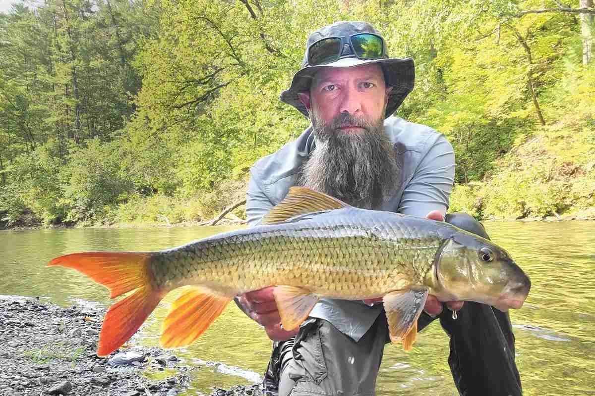 Sucker Supporters Say 'Junk Fish' Are Anything But - Game & Fish