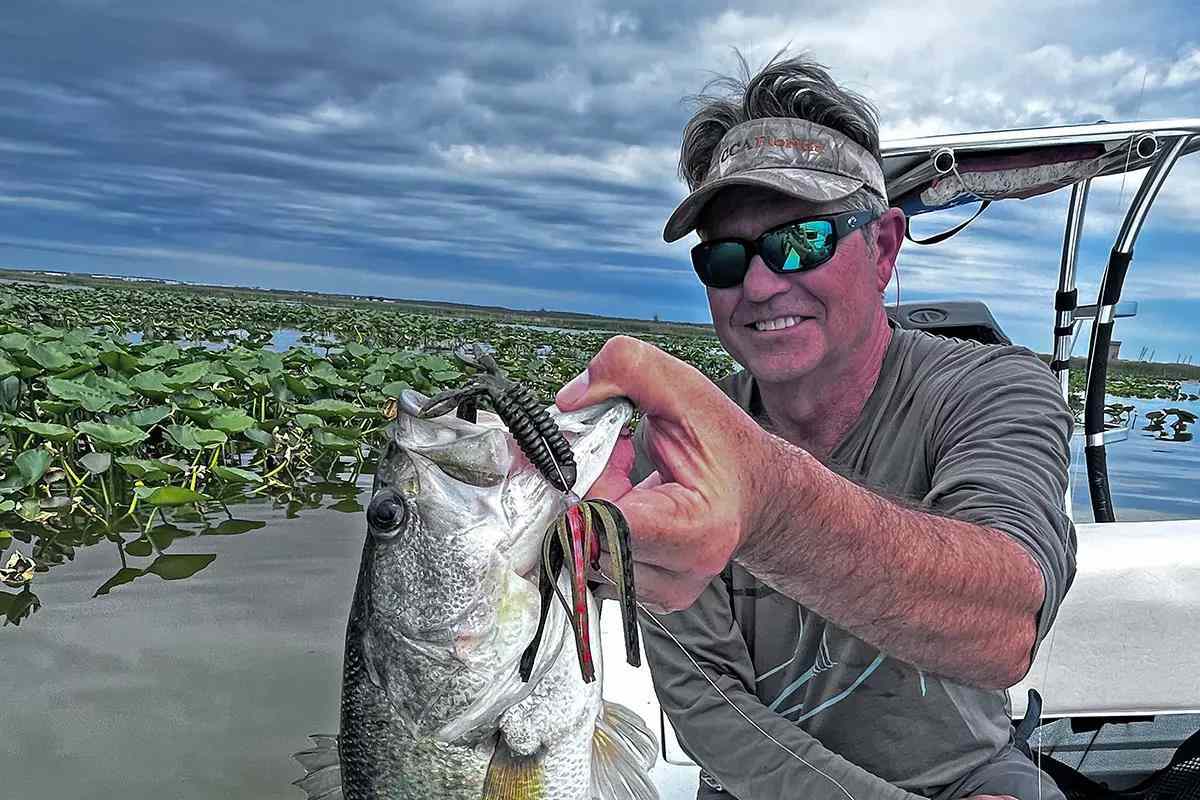 okuma celilo 7'6 spinning rod Specialty b Rods CE-S-762Lb featuring titanium oxide guide Size:Colossal Cat with 40