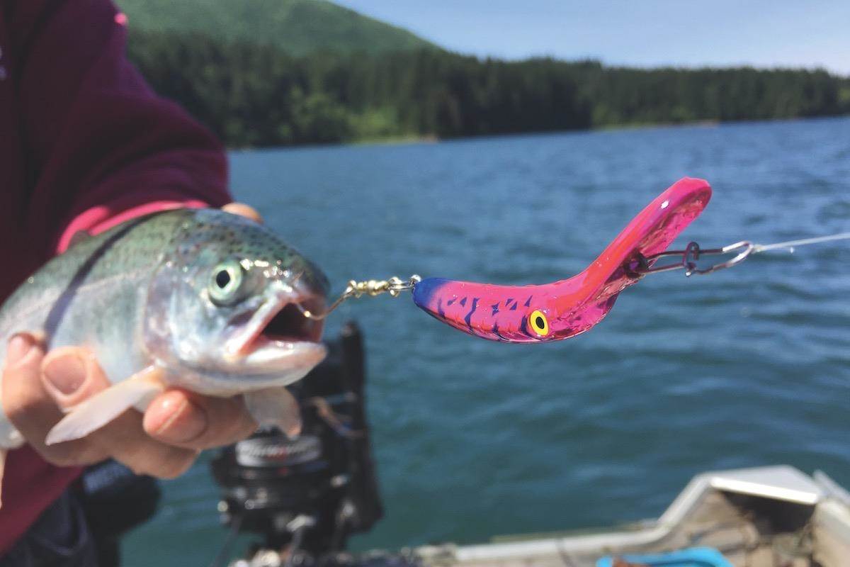 Late Summer Rainbow Trout Fishing Tactics — Mack's Lure Tackle