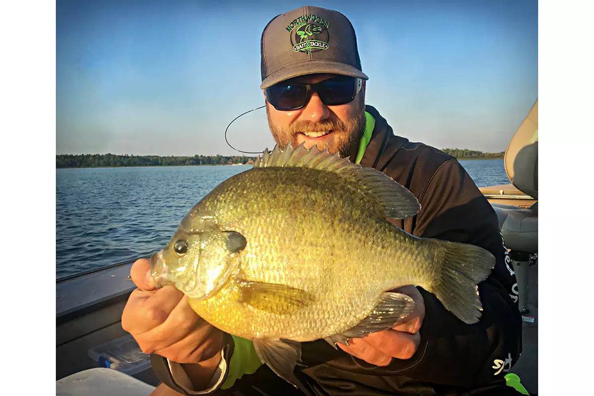 On The Hunt For Big Mid‑Summer 'Gills