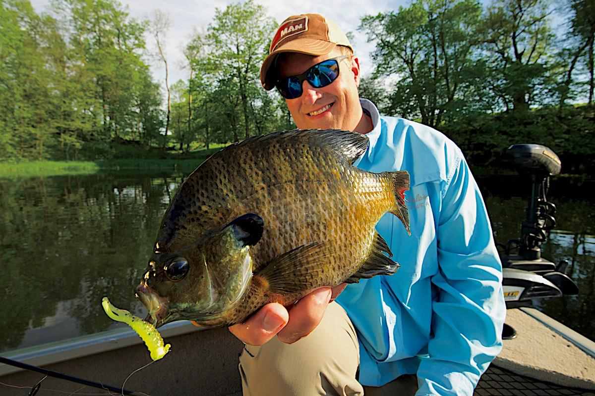 Sunny Delight: Target the Biggest Panfish in Local Waters