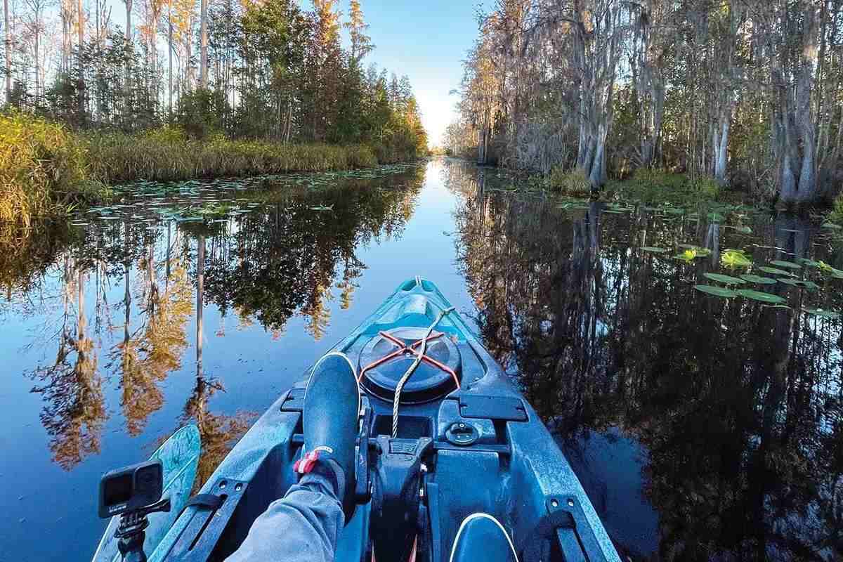 Kayaks and catfish: here are some tips - Carolina Sportsman