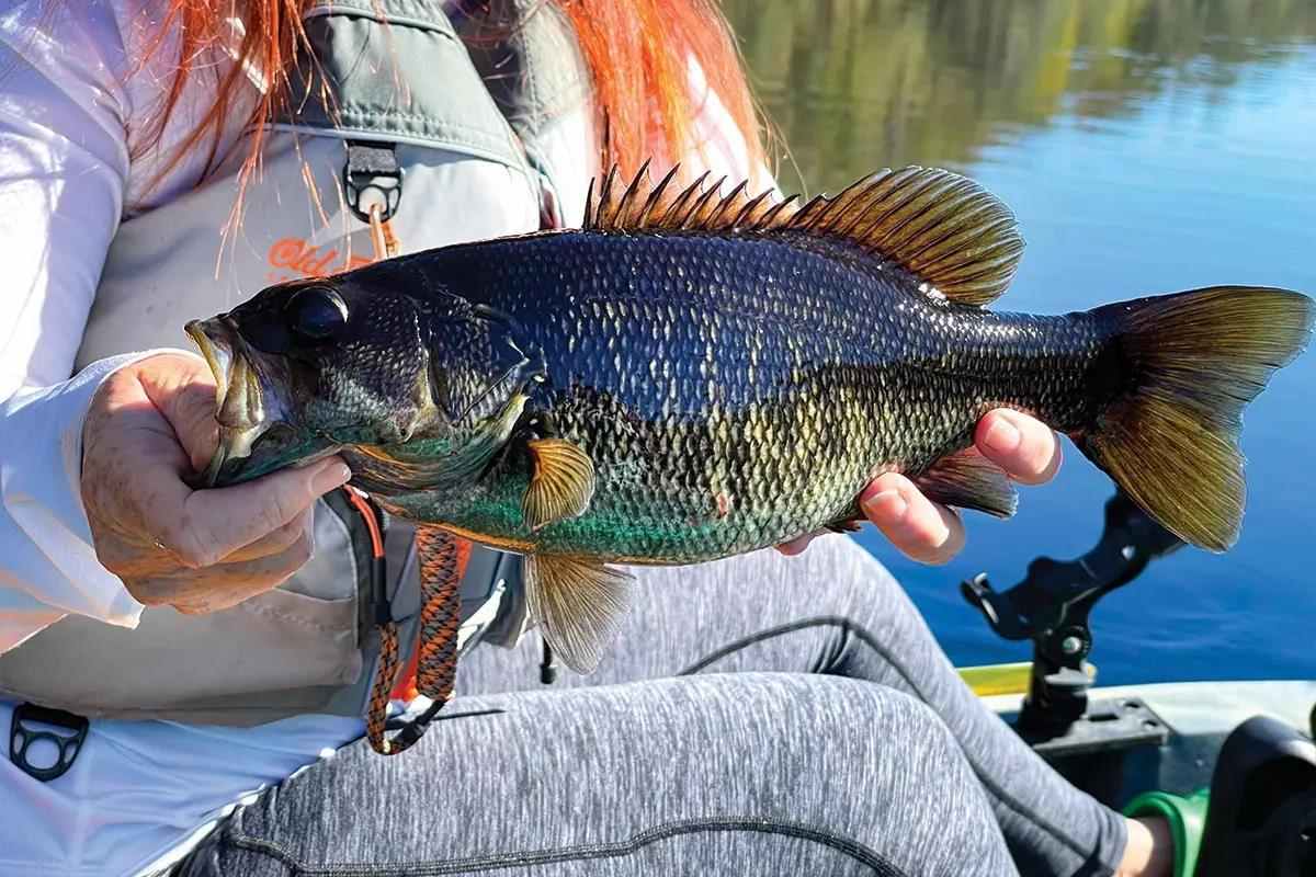 Six Days and 246 Miles: Suwannee to the Source - Florida Sportsman
