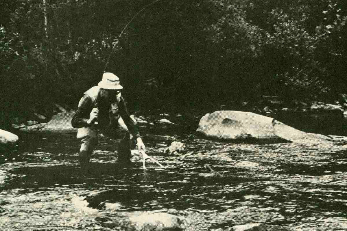 Fly Fisherman Throwback: Take a Temperature for Trout - Fly Fisherman