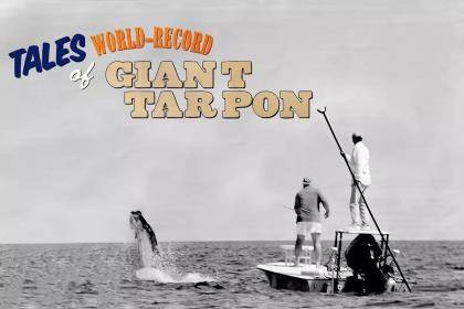 Tales of World-Record Giant Tarpon - Fly Fisherman