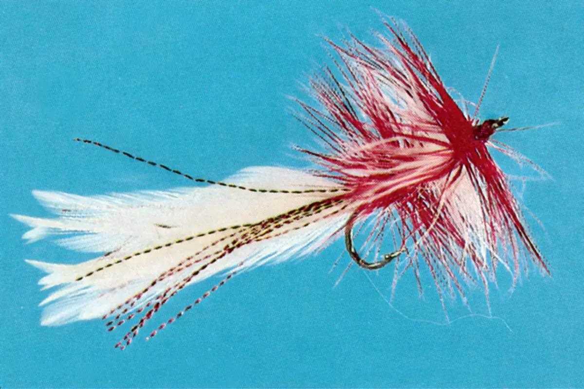  The Fly Fishing Place Classic Streamers Fly Fishing Flies  Collection - Assortment of 12 Trout Wet Fly Streamer Flies - Hook Size 4 :  Sports & Outdoors