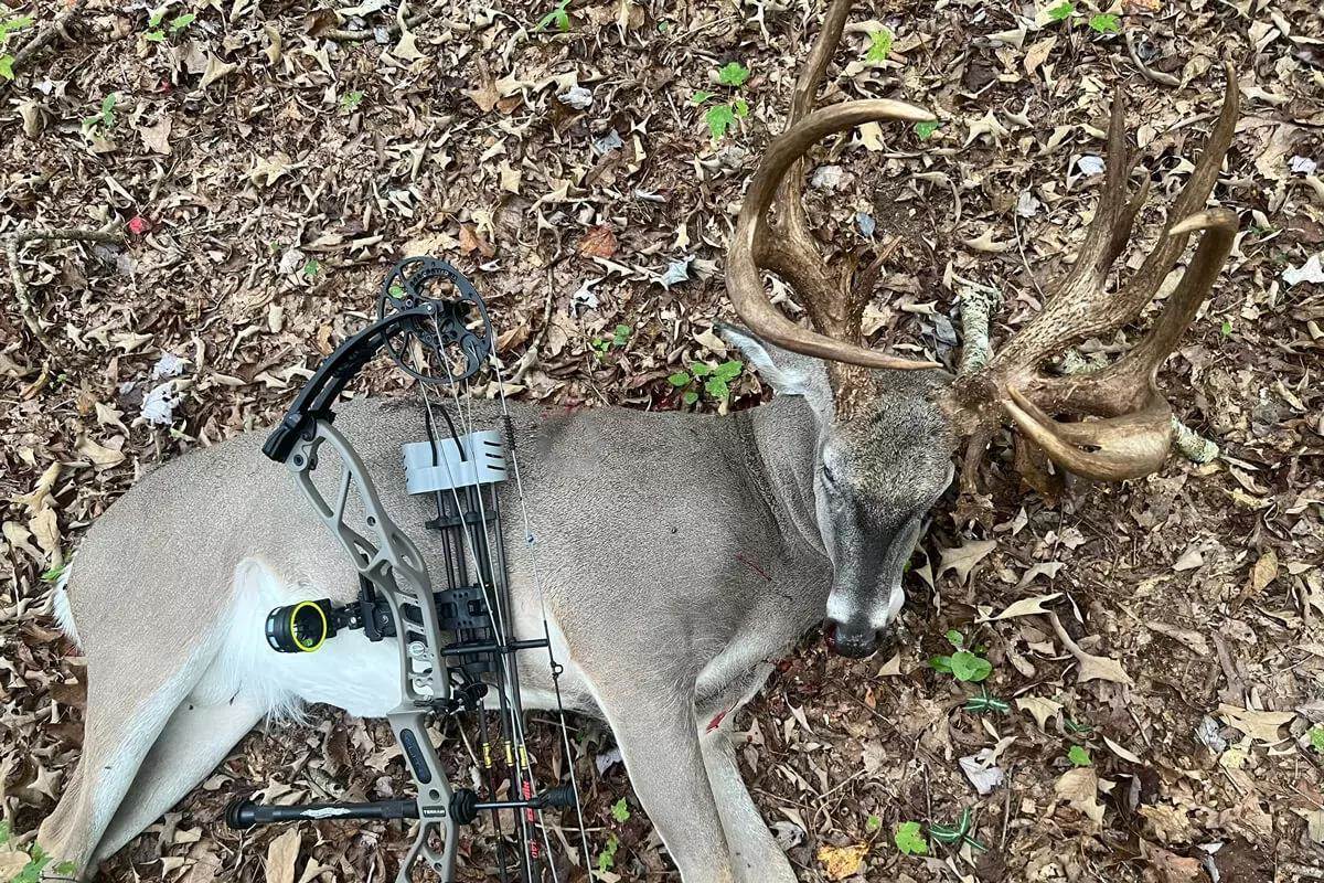 big Tennessee whitetail buck with bow across chest