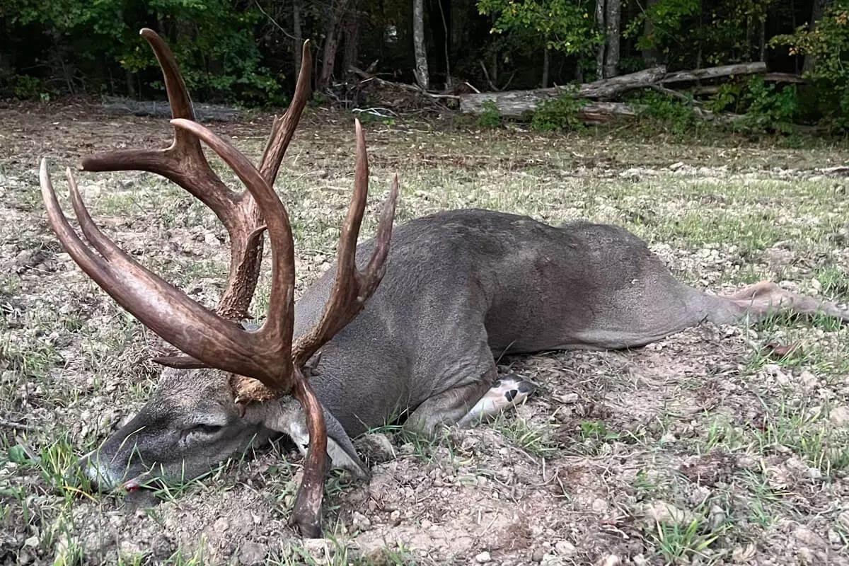 Tennessee Hunter Tags 206-Inch Mountain Buck with One Eye