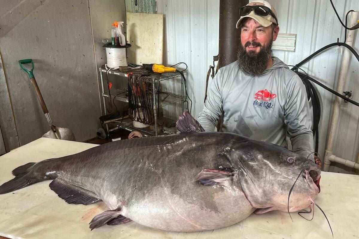 Déjà Blue: Tennessee Angler Breaks Own Catfish Record